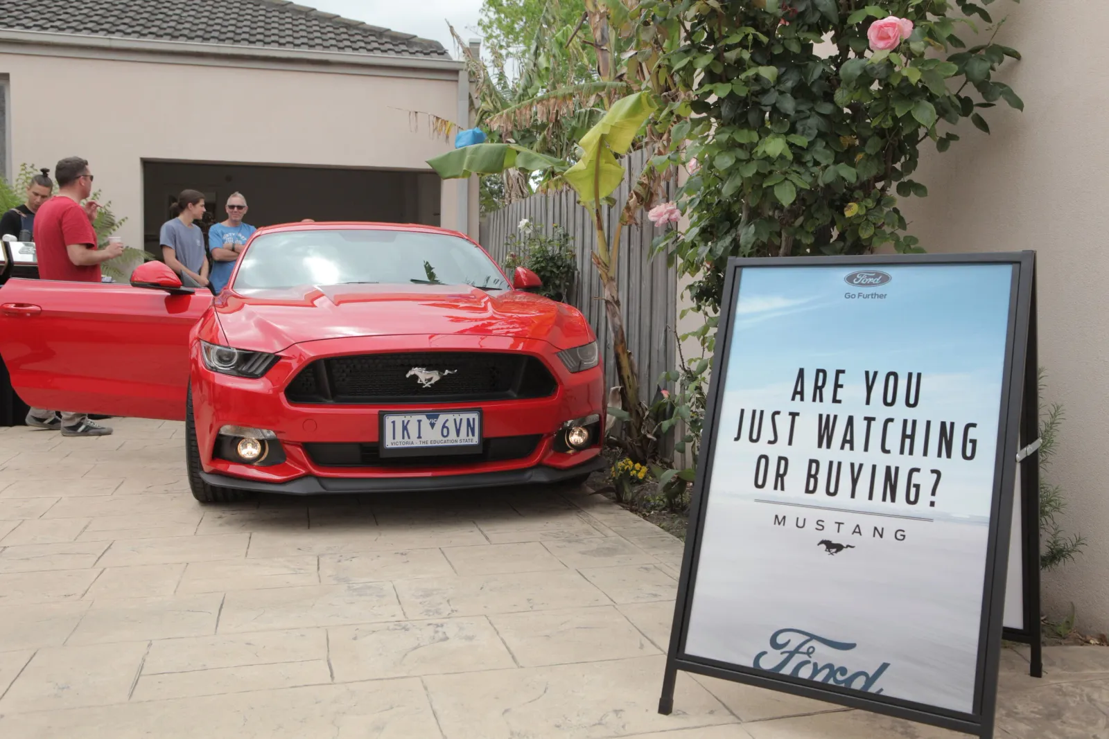 Ditch Regret — Activation - House Auction